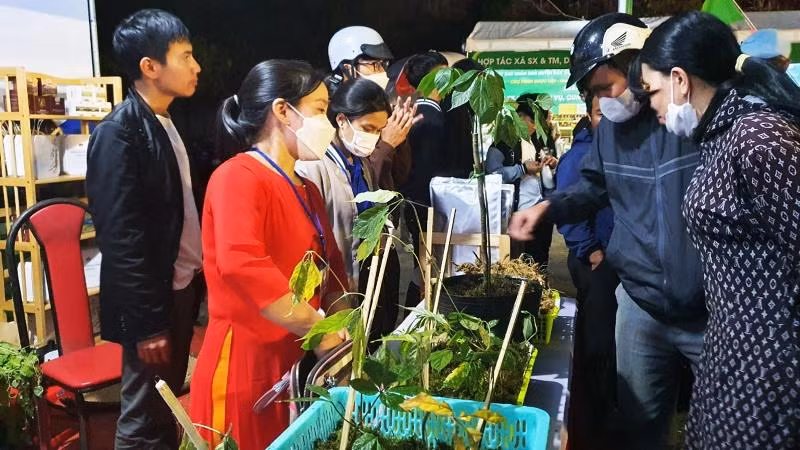 Gian hàng sâm Ngọc Linh thu hút sự quan tâm của du khách.