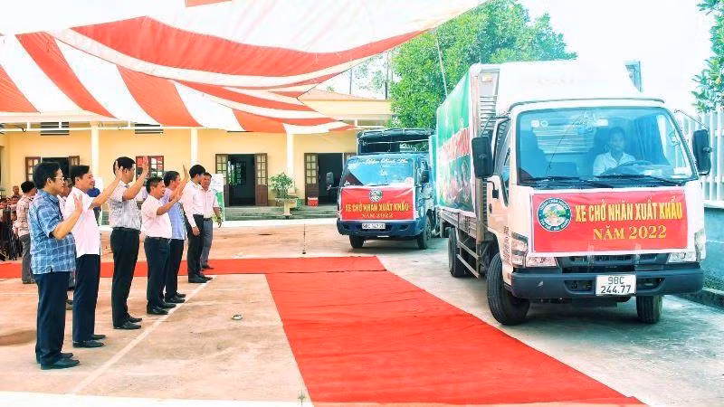 Xe chở nhãn xuất khẩu tại sự kiện.