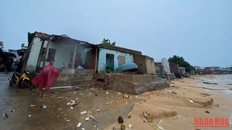 Khu vực biển thôn Phước Thiện, xã Bình Hải, huyện Bình Sơn liên tục sạt lở, sóng biển lấn sâu vào nhà dân gây nguy hiểm khi bão đổ bộ.