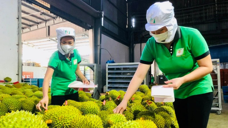 Rau quả Việt Nam nhiều tiềm năng xuất khẩu. 
