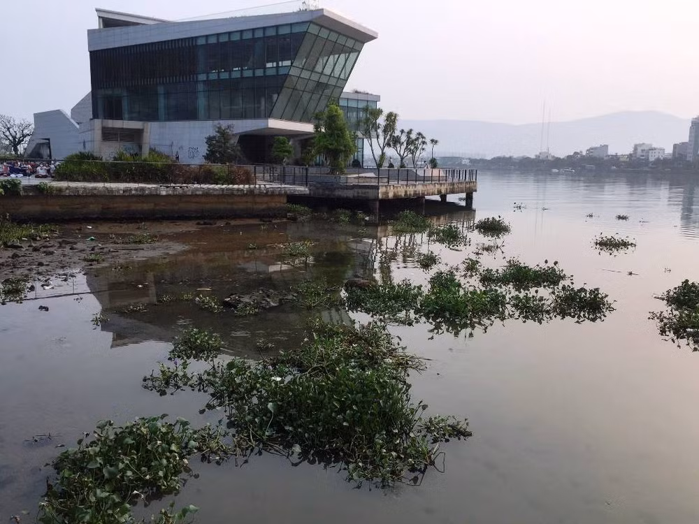 Tại khu vực Dự án nhà hàng, bến du thuyền ghi nhận một lượng bèo khổng lồ đang “trú chân” sáng 21/4.