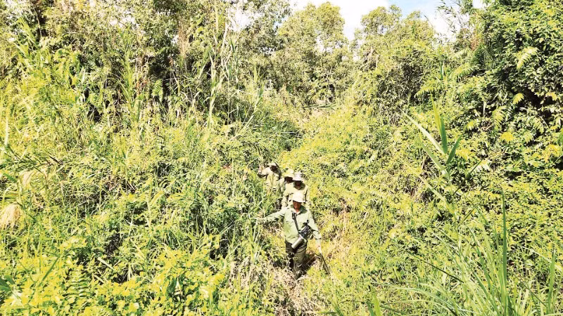 Lực lượng bảo vệ rừng của Vườn Quốc gia U Minh Thượng tuần tra.