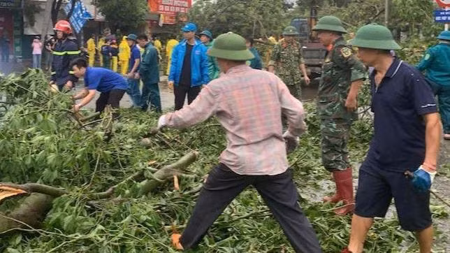 Lực lượng chức năng trên địa bàn quận Long Biên xử lý cây xanh bị gãy, đổ.