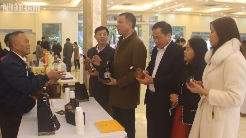 Hội đồng chấm điểm, đánh giá các sản phẩm từ sâm Ngọc Linh của Công ty TNHH MTV đầu tư xây dựng Thành Long.