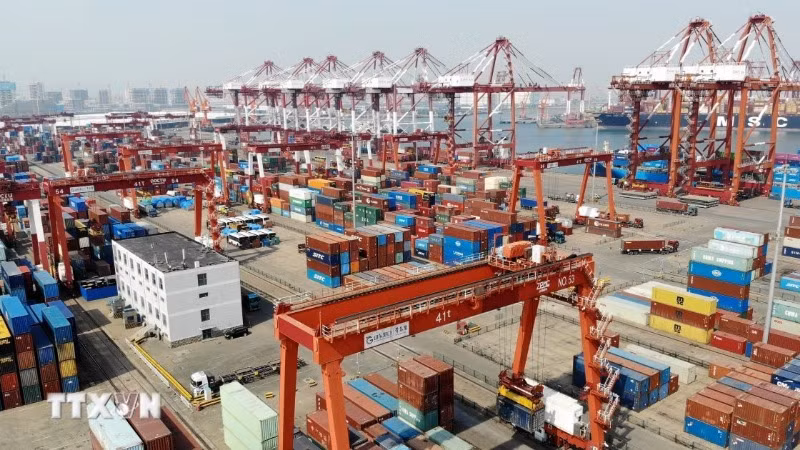 Cảng hàng hóa Thanh Đảo, tỉnh Sơn Đông, Trung Quốc. (Ảnh: THX/TTXVN)