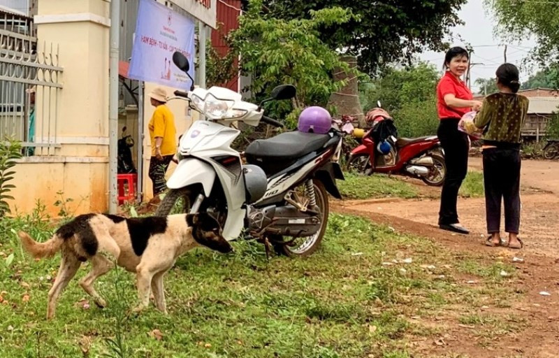 Nuôi cho thả rông là một trong những nguyên nhân dẫn đến bệnh dại (ảnh minh họa).