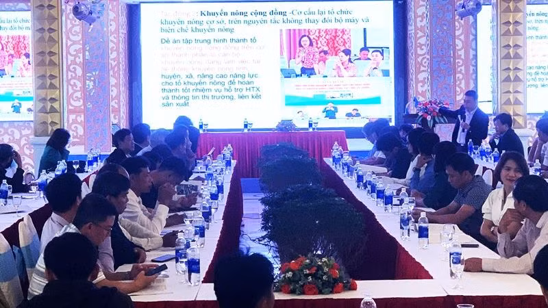 Quang cảnh diễn đàn “Khuyến nông cộng đồng trong xây dựng vùng nguyên liệu cà-phê bền vững ở Tây Nguyên”. 