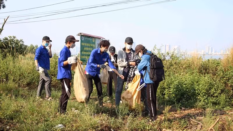 Các bạn trẻ dọn vệ sinh trên bán đảo Sơn Trà.