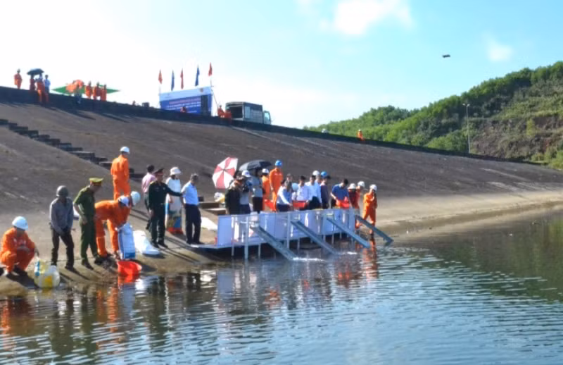 Thả 100 nghìn con cá giống xuống lòng hồ Thủy điện Sông Tranh 2. 