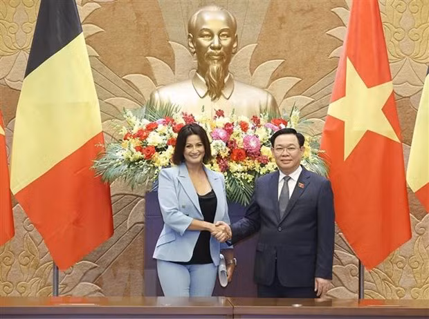 Chủ tịch Quốc hội Vương Đình Huệ và Chủ tịch Thượng viện Vương quốc Bỉ Stéphanie D'Hose. (Ảnh: Doãn Tấn - TTXVN)