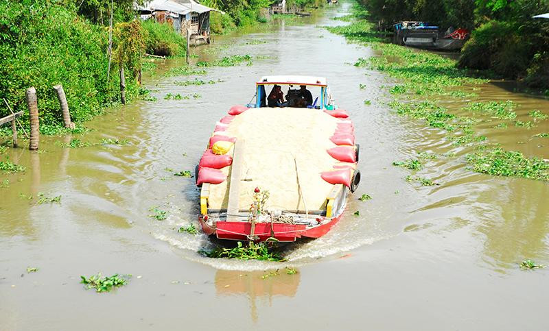 Hệ thống thủy lợi - một yếu tố quyết định sự thành công trong khai phá vùng Đồng Tháp Mười. 