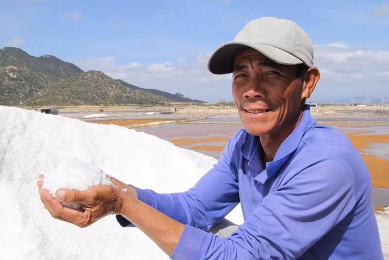 Anh Nguyễn Văn Tín ở thôn Khánh Phước 2, xã Nhơn Hải, huyện Ninh Hải, tỉnh Ninh Thuận phấn khởi khi mỗi lần cào muối đạt 30 tấn/1,8ha và trúng thời điểm giá muối tăng gấp đôi so với năm trước, nên đem lại thu nhập cao.