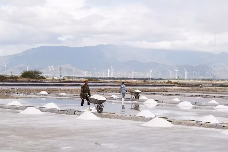 Do ảnh hưởng thời tiết không thuận lợi từ Tết Nguyên đán năm 2023 đến nay, làm độ mặn của nước biển khi bơm hút vào giang để sản xuất trên nền đất truyền thống giảm, nên năng suất và chất lượng muối kết tinh giảm so với năm trước.