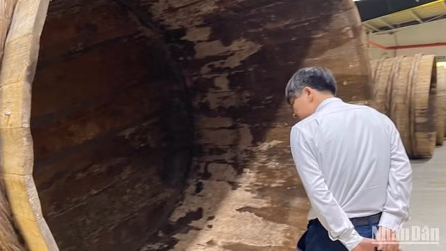 Thùng bời lời ủ hỗn hợp cá và muối