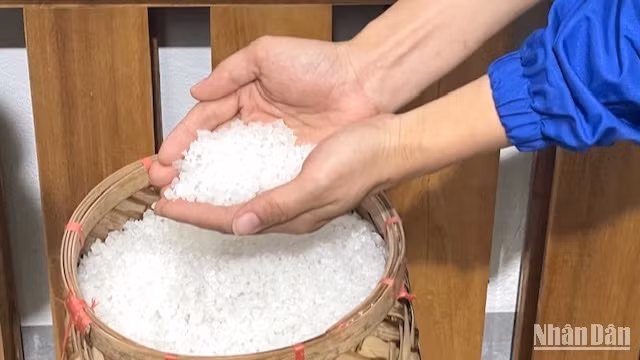 Những hạt muối thô từ biển cả.