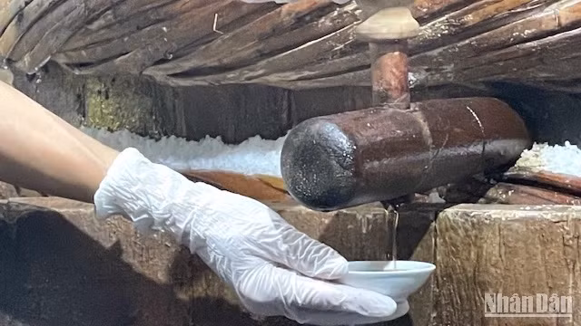 Những giọt mắm tinh túy từ biển cả.