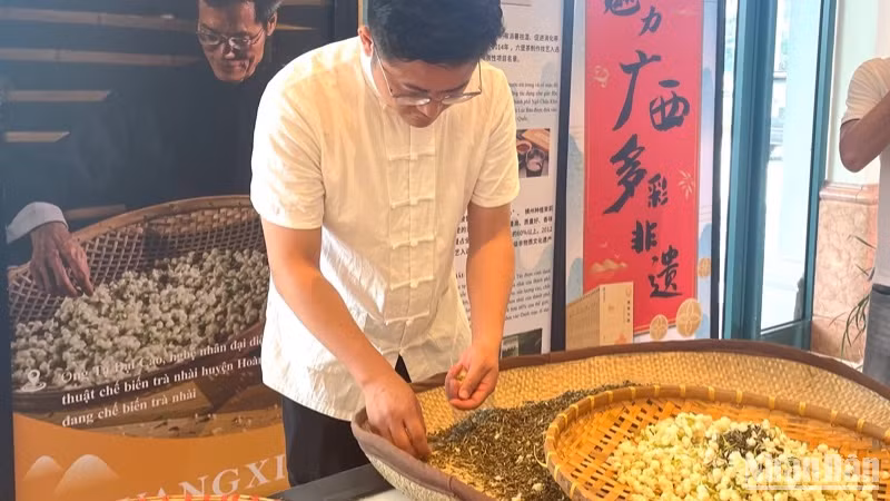 Giới thiệu văn hóa trà nhài Hoành Châu (Trung Quốc). 