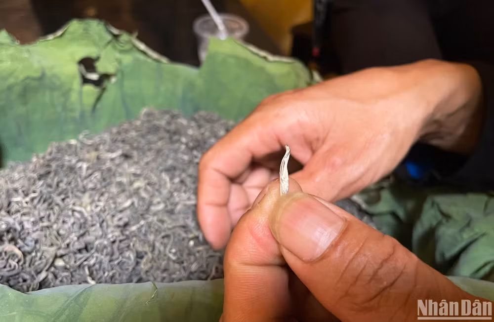 Trà shan tuyết một tôm hai nõn.