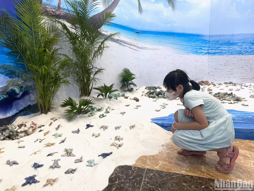 Các em nhỏ hứng thú tìm hiểu về rùa.