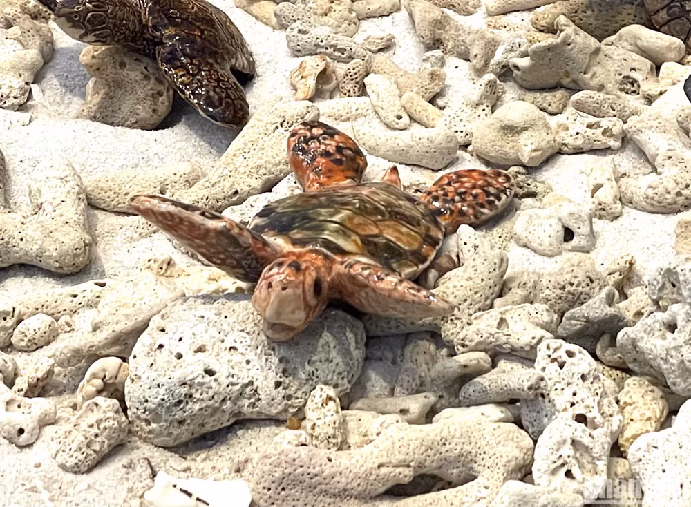 Chú rùa làm bằng gốm.