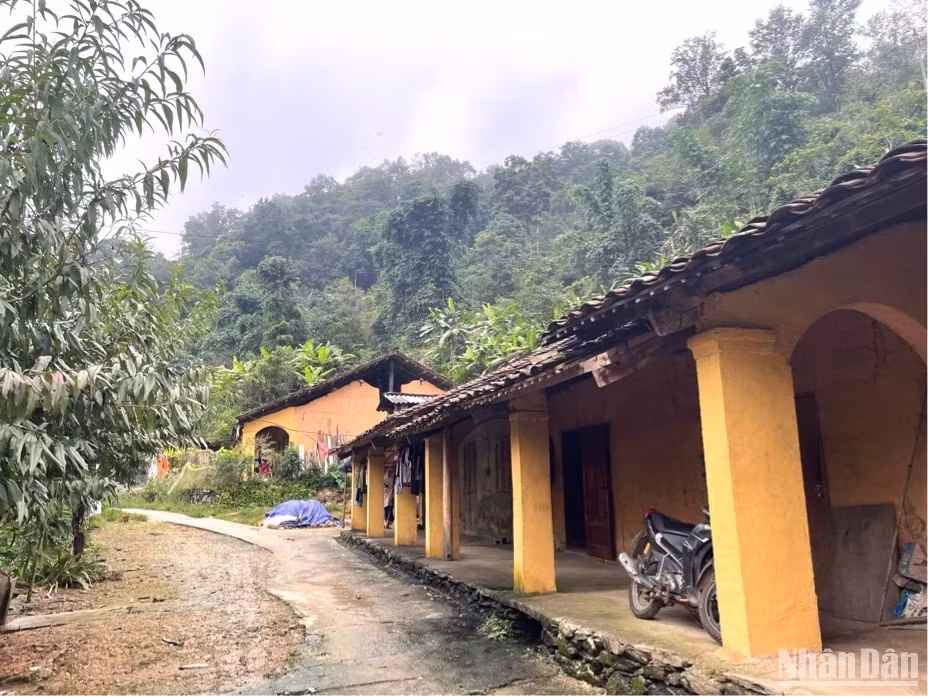 Dãy nhà liền kề gồm 9 căn sát nhau.