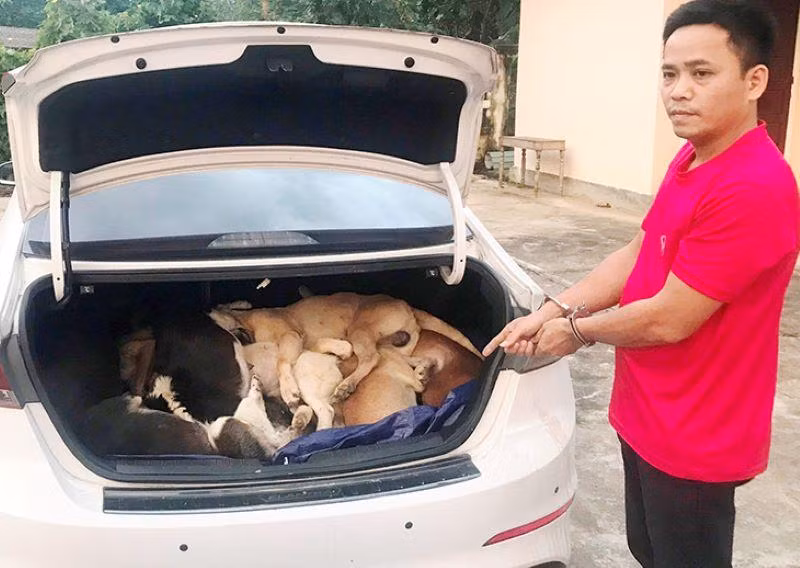 Đối tượng Ngô Bá Phát và tang vật.