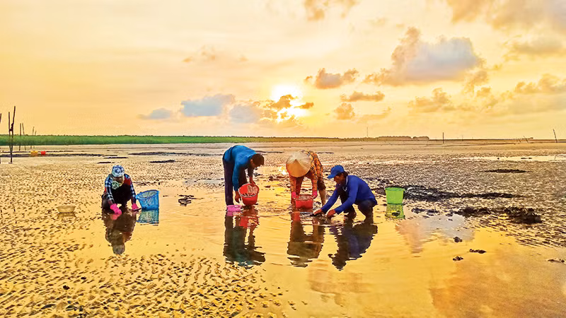 Người dân địa phương mưu sinh bằng nghề cào nghêu trên bãi cát Khai Long.