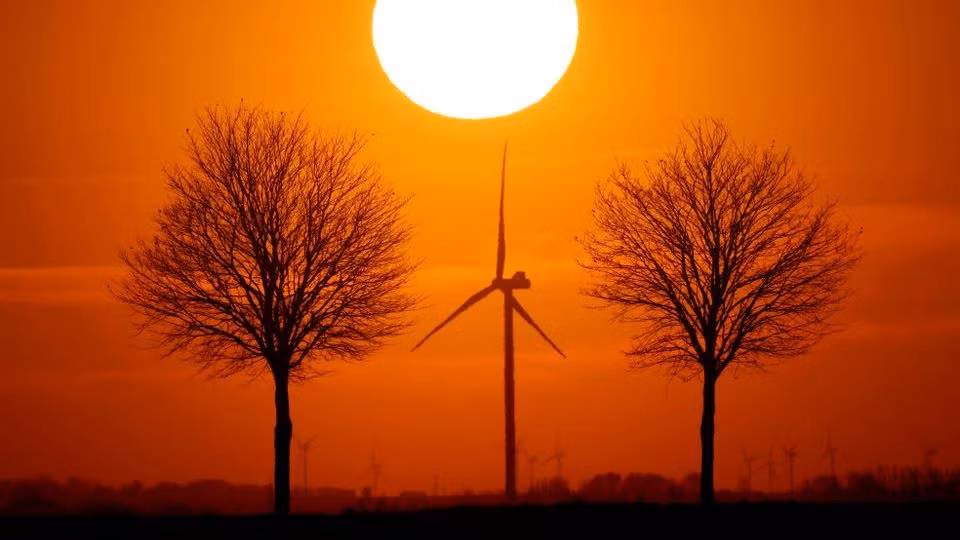 Cảnh hoàng hôn tại Bourlon, Pháp, ngày 23/2/2021. (Ảnh: Reuters) 