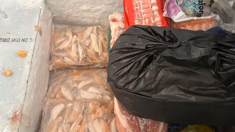 Các loại thực phẩm không rõ nguồn gốc, xuất xứ được phát hiện.