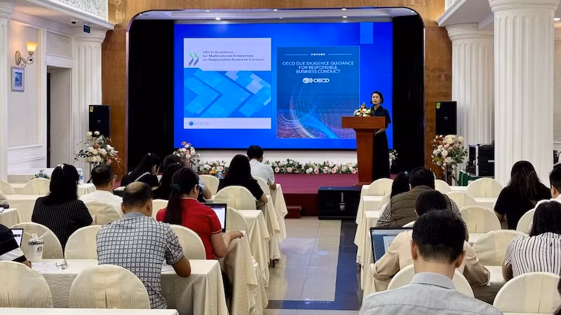 TS Lưu Hương Ly, Trưởng phòng Pháp luật dân sự, Vụ Pháp luật dân sự, kinh tế (Bộ Tư pháp) trình bày tham luận tại Hội nghị.