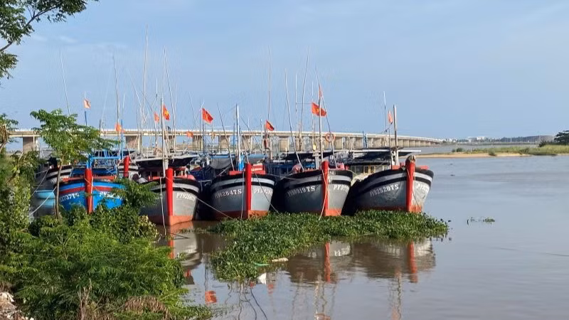 Tàu thuyền của ngư dân thành phố Tuy Hòa neo đậu tại khu vực kè Bạch Đằng, đường Độc Lập phường 6 để tránh bão.