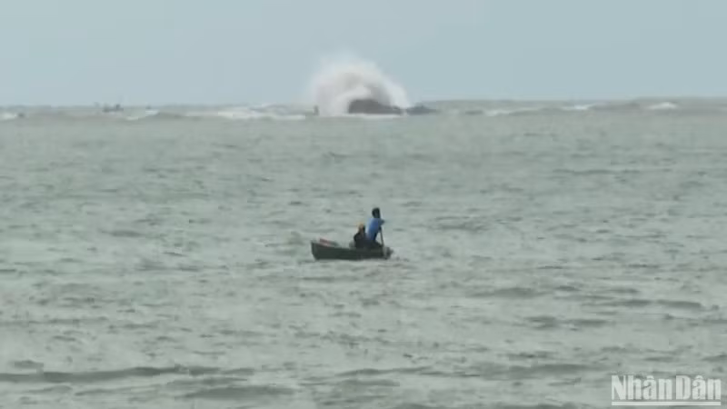 Ngư dân xã Bình Hải, huyện Bình Sơn sử dụng thuyền thúng ra biển đánh bắt, bất chấp lệnh cấm biển của tỉnh.