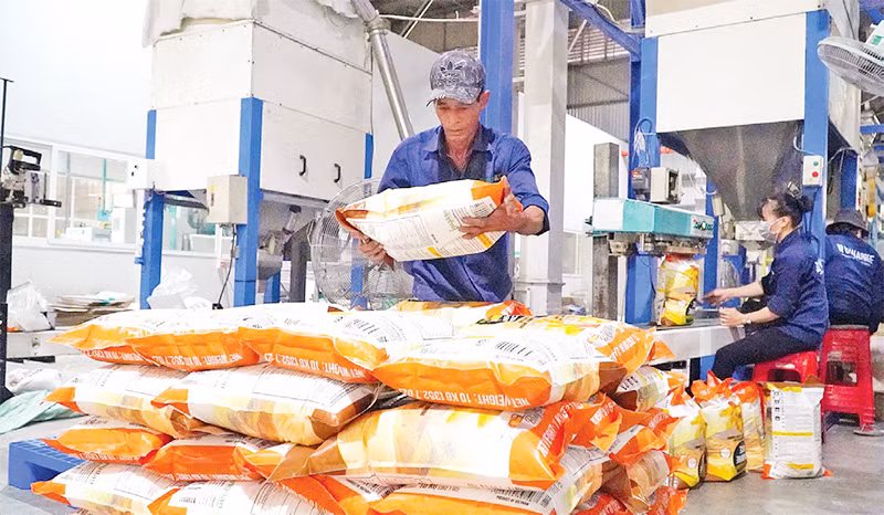 Gạo chất lượng cao tại Nhà máy chế biến gạo của Công ty TNHH lúa, gạo Việt Nam (VINARICE).