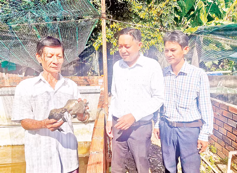 Nông dân Hồ Thanh Hải (ngoài cùng bên trái) chia sẻ kinh nghiệm, hiệu quả nuôi ếch với đại diện Hội Nông dân xã Quy Đức và cán bộ kỹ thuật.