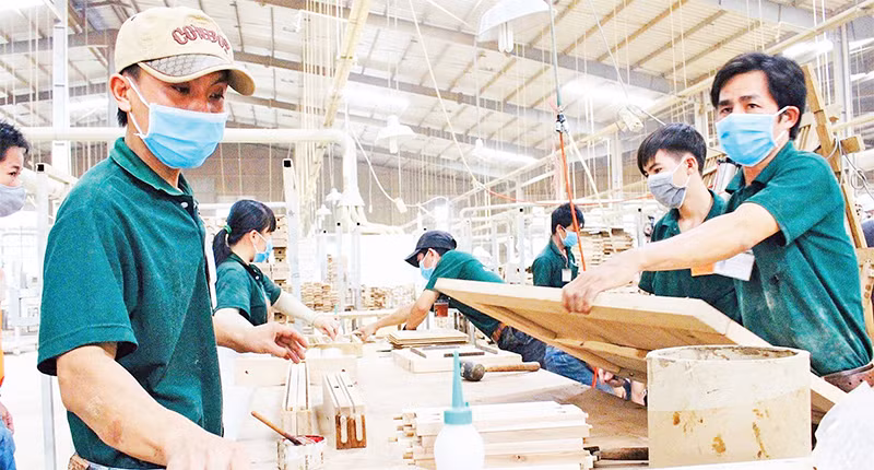 Sản xuất gỗ xuất khẩu tại Công ty cổ phần Lâm Việt, thành phố Tân Uyên, tỉnh Bình Dương.