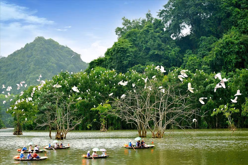 Thiên nhiên tại Khu du lịch sinh thái Thung Nham. (Ảnh TRƯỜNG HUY)