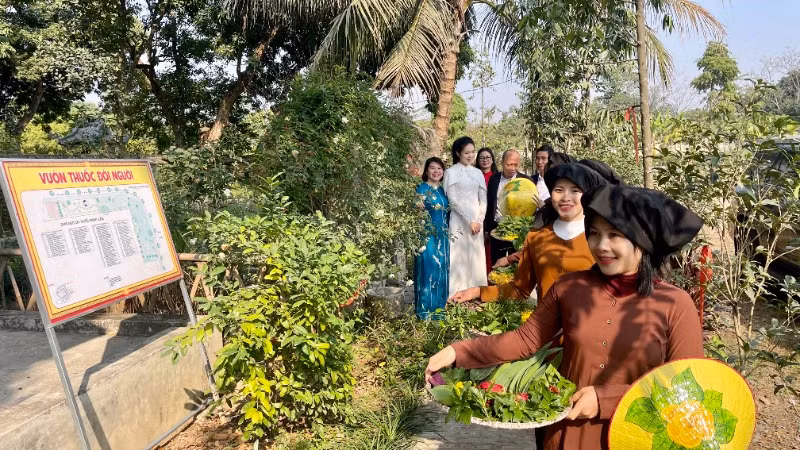 Các đại biểu tham gia trải nghiệm thiền hành hái thuốc trong "Vườn thuốc đời người Đền Thánh Nguyễn".