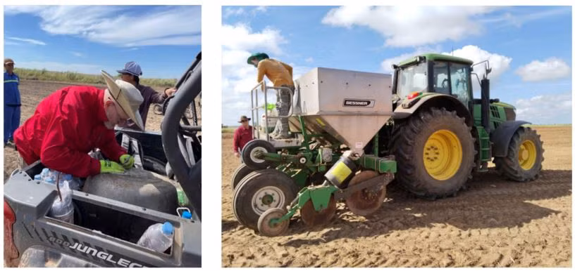 Chuyên gia Úc chuyển giao Kỹ thuật trồng mía tại vùng nguyên liệu của TTC AgriS