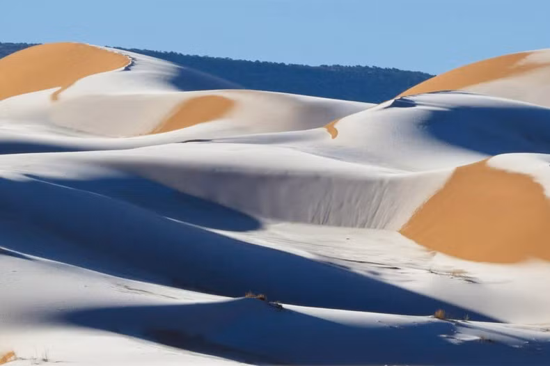 Băng tuyết bao phủ ở sa mạc Sahara gần thị trấn Ain Sefra của Algeria, ngày 13-1. Ảnh: Bav Media.