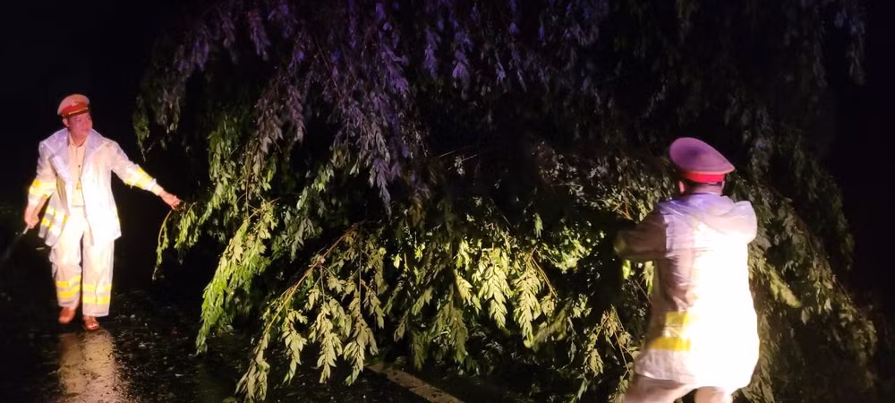 Cảnh sát giao thông phối hợp Cảnh sát cơ động Công an tỉnh Quảng Ngãi xuyên đêm thu dọn cây xanh ngã đổ trên các tuyến đường trọng điểm của tỉnh.