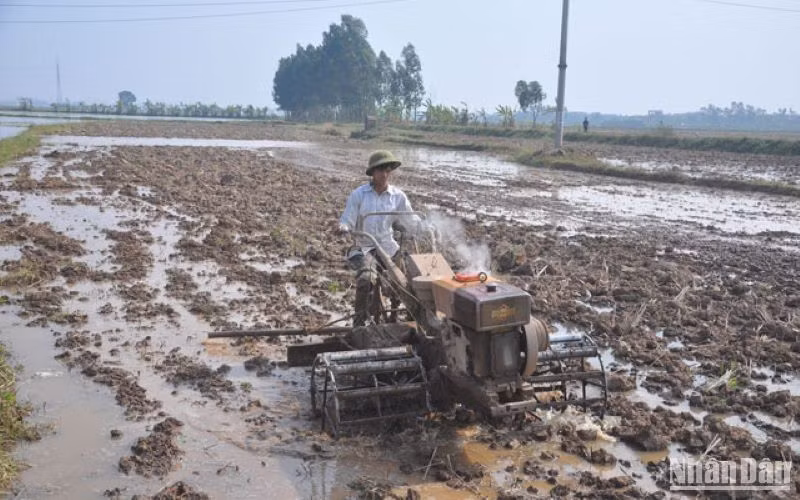 Khâu làm đất ở tỉnh Thái Bình được cơ giới hóa đạt tỷ lệ gần 100%.