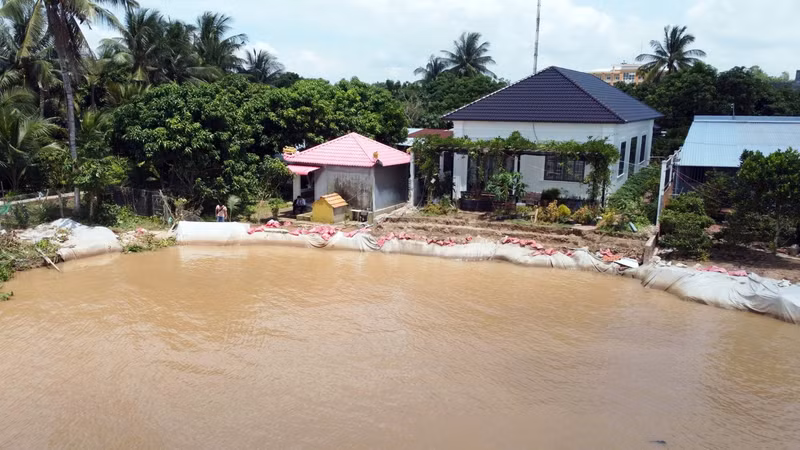 Hiện trường vụ sạt lở tại khu vực bờ sông Tiền đoạn qua địa bàn tỉnh Đồng Tháp. (Ảnh: HƯƠNG NGÂN).