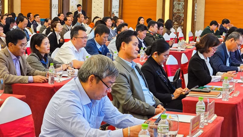 Các đại biểu tham dự Hội nghị.