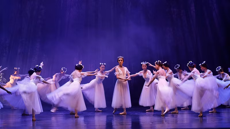 Vở Giselle sẽ trở lại với khán giả Thành phố Hồ Chí Minh trong hai ngày 20 và 21/10. (Ảnh HBSO).