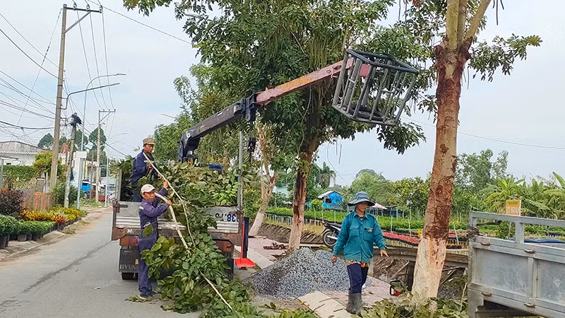 Nhân viên cắt tỉa cây tạo cảnh quan đón Festival hoa-kiểng tại Đường hoa Sa Nhiên-Cai Dao, thành phố Sa Đéc. (Ảnh: HỮU NGHĨA) Nhân viên cắt tỉa cây tạo cảnh quan đón Festival hoa-kiểng tại Đường hoa Sa Nhiên-Cai Dao, thành phố Sa Đéc. (Ảnh: HỮU NGHĨA)