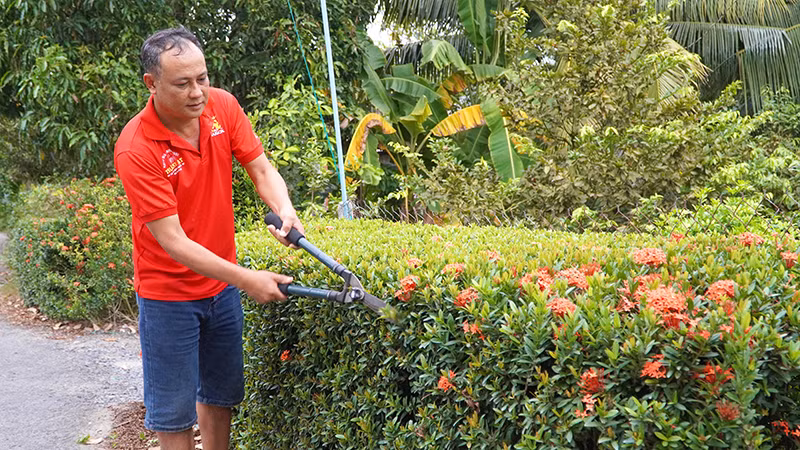Người dân ấp 5, xã Mỹ Đông cắt tỉa hàng rào cây xanh trước nhà.