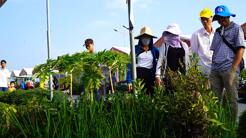Du khách tham quan các gian hàng trưng bày hoa, kiểng tại khu vực hội thảo. (Ảnh: HỮU NGHĨA)