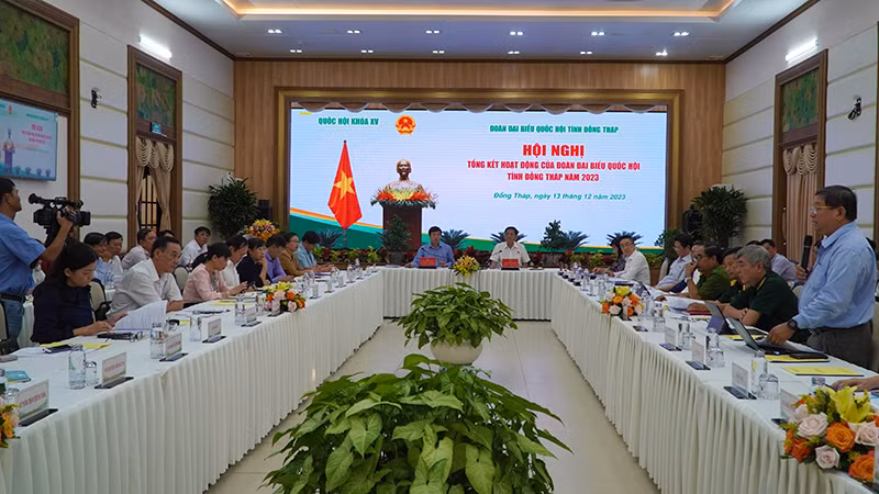 Đại biểu phát biểu ý kiến tại Hội nghị. (Ảnh: HỮU NGHĨA)