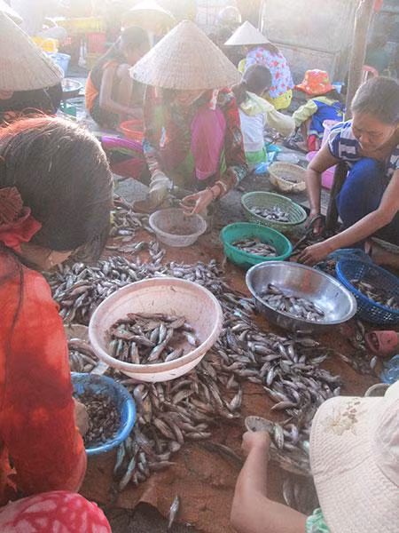 Phụ nữ vùng nông thôn làm công cắt đầu cá.