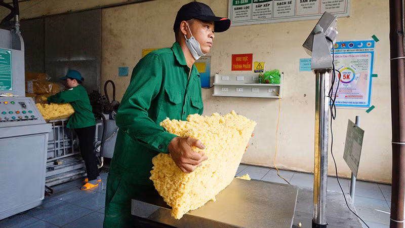 Công nhân Công ty TNHH MTV cao su Mang Yang chế biến mủ cao-su xuất khẩu.